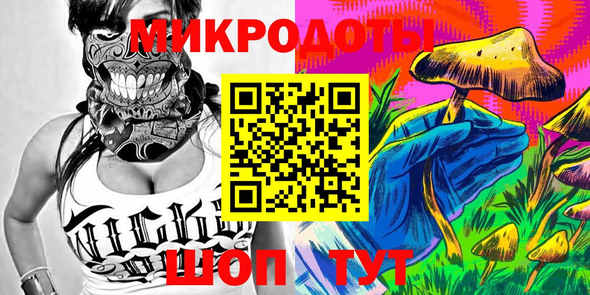Псилоцибиновые грибы Psilocybe Дубна